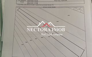 NECTORA IMOB-Exclusivitate Teren Intravilan Saldabagiu de Munte 1223mp - Poză 2