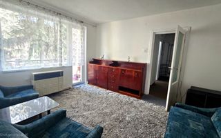 Chirie 2 Camere Satu Mare Central - Poză 4
