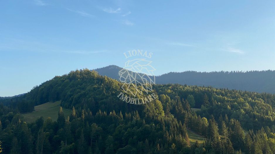 Teren Intravilan 1000mp-panorama-oportunitate investitie-Colibita - Poză 4