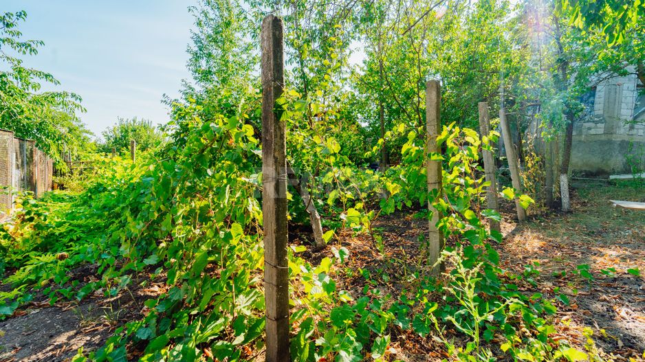 SE VINDE CASĂ DE VACANȚĂ ÎN TRUȘENI | TEREN 7,34 ARI - Poză 4