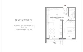 Apartament 2 camere Arad - Poză 14