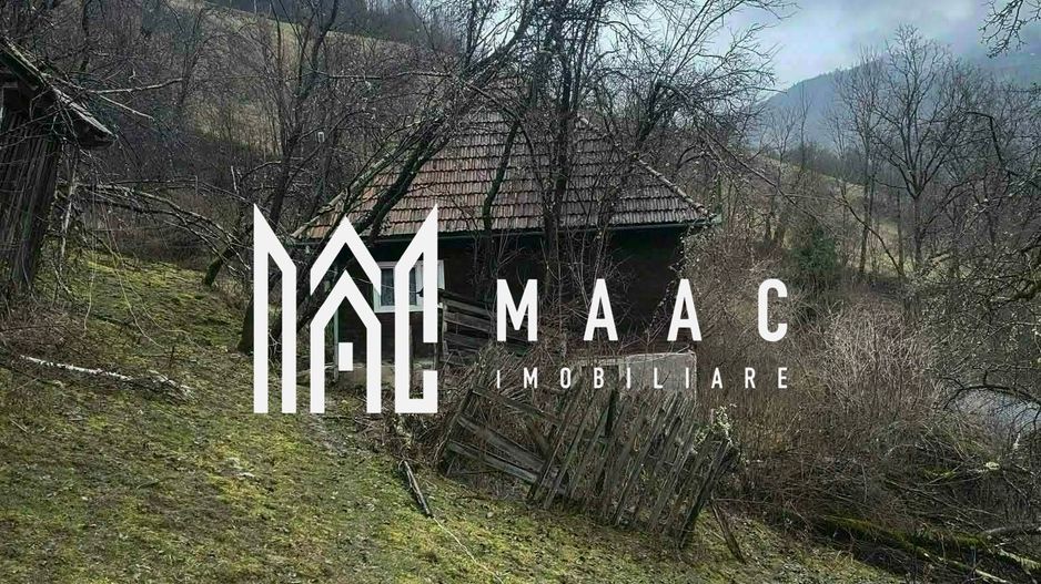 Un colt de rai in Apuseni I viața ca pe vremuri - Poză 1