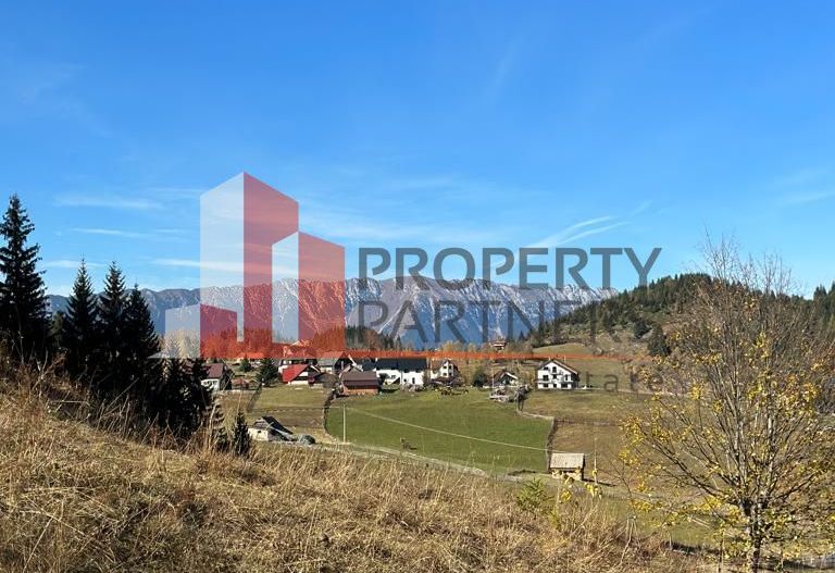 Teren Fundatica intravilan 4500 mp - Poză 18