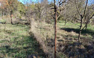 CASĂ 4 CAMERE\CARANSEBEȘ,JUD.CARAȘ-SEVERIN - Poză 24
