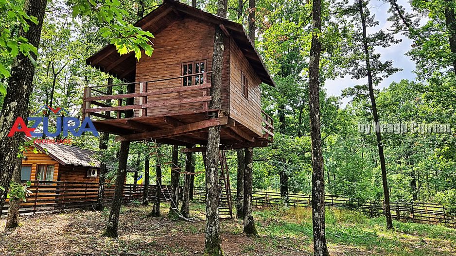 Casă de vacanță în pădure, 10 km de Pitești - Babana - Poză 6