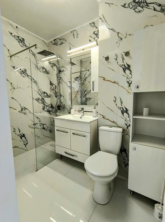 Ion Mihalache- Pta Chibrit- Calea Grivitei - Poză 6