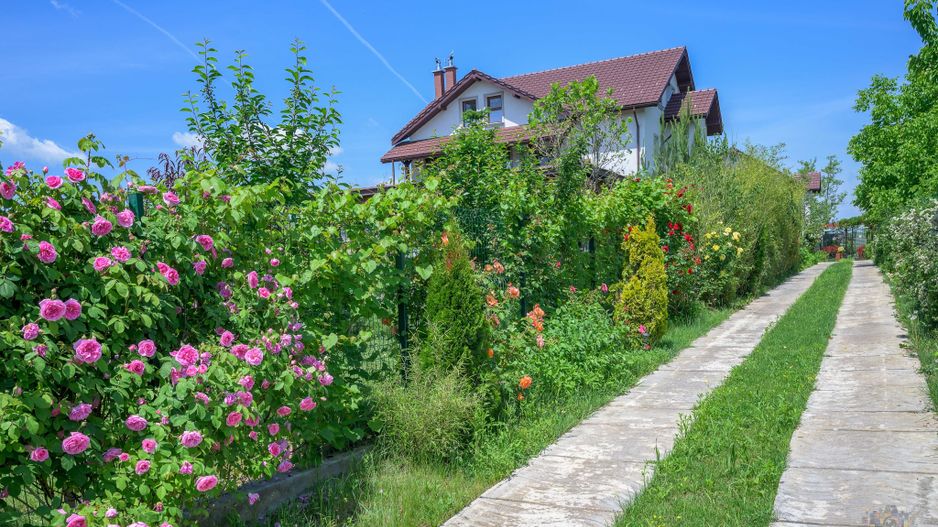 Vila Albatros | Eleganta aristocrata pe malul lacului - Poză 26