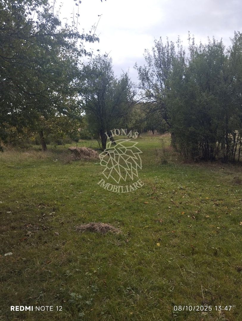 Teren intravilan 1500 mp-ideal casa-Mijlocenii Bargaului - Poză 3