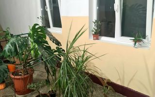 Apartament spatios cu 4 camere, 2 balcoane – Marghita, zona Penny - Poză 14