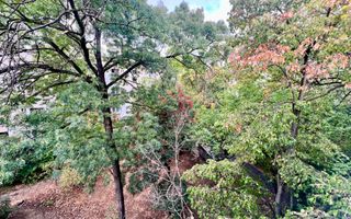 Apartament *2 camere* // FLoreasca - Compozitori - Poză 7