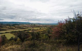 Teren 3,3 ha pentru viață la natură – livadă, liniște, Strunga Iași - Poză 1