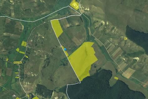 teren extravilan Sic judetul Cluj - Poză 2