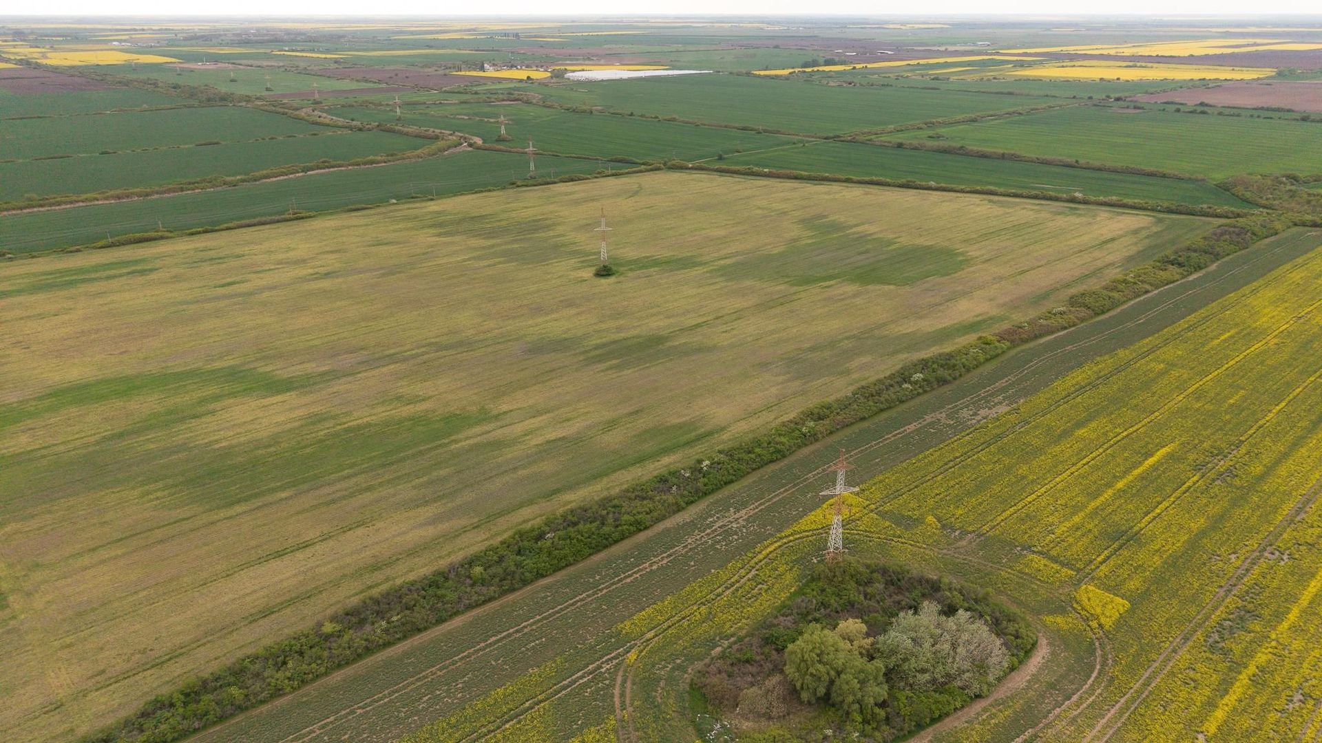 Teren investițional strategic 44.700 mp Arad Vest - Poză 16