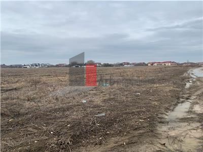 Vanzare Teren 3200mp  Cornetu  Ilfov - Poză 14