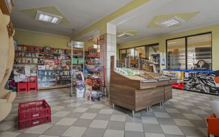 Comision 0% 2 case Vila + Spatiu Comercial + Curte Proprie - Poză 12