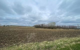 TEREN INTRAVILAN | 50 ARI | ZONA PERIFERICA RADAUTI - Poză 7