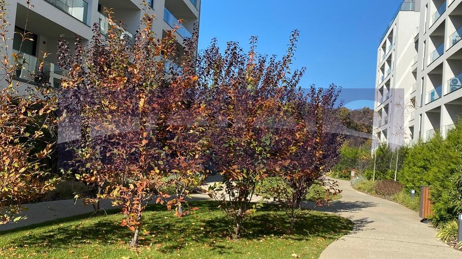 APARTAMENT 2 CAMERE | IVY RESIDENCE - Poză 12