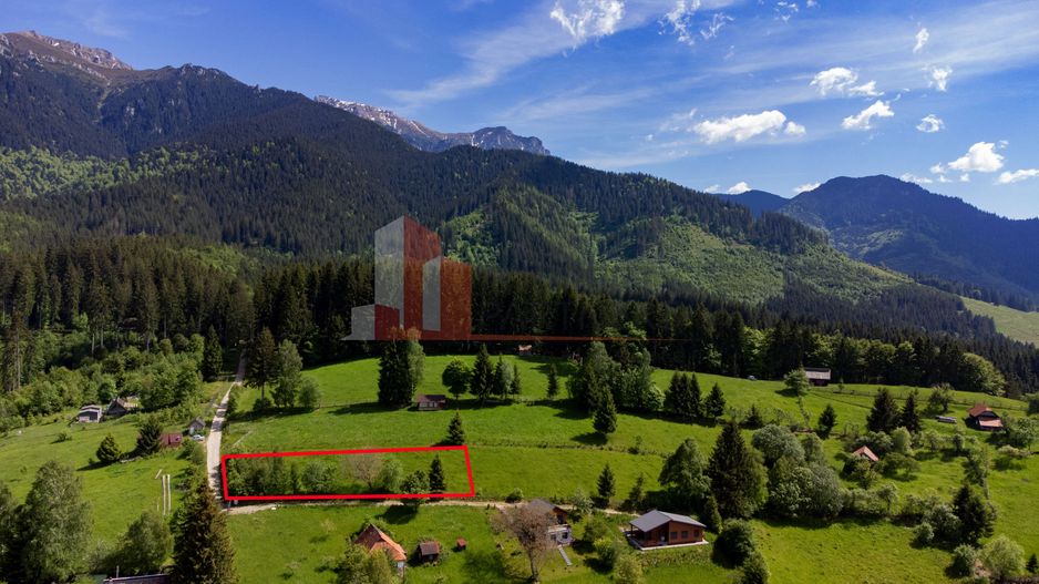 Teren la munte - 3.851 mp Bran - Poză 8