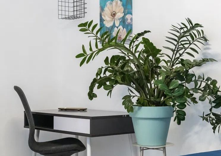 Chirie I Apartament 2 camere I Pipera I Parcare - Poză 7