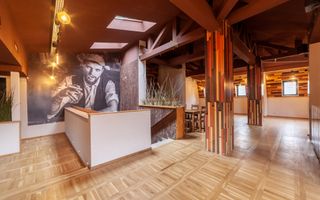 Spatiu comercial premium in vila – Bd. Republicii, Pitesti - Poză 15