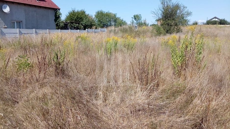 Teren intravilan de vânzare în Avrig | 1.000 mp | PUZ aprobat - Poză 7
