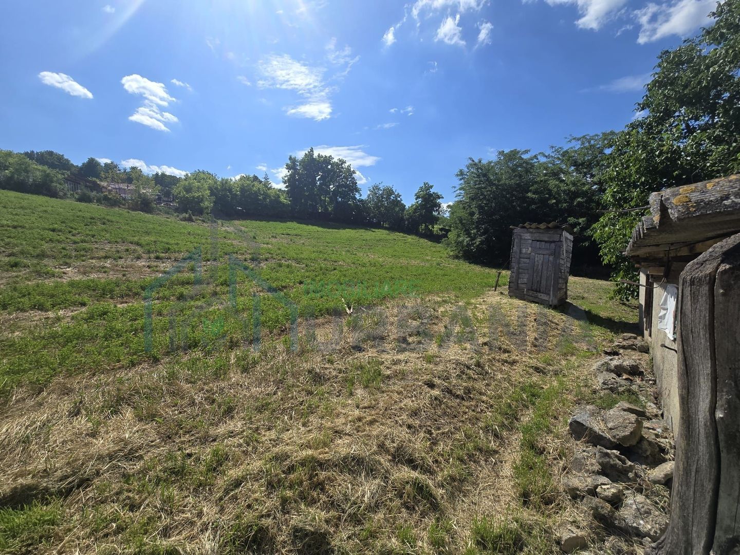 Casă cu teren de 1,4 hectare și vie, în Raducaneni - 3 camere - Poză 6