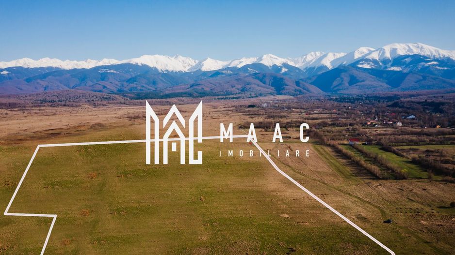 Teren intravilan | 100.000 mp | Valea Avrigului - Poză 3