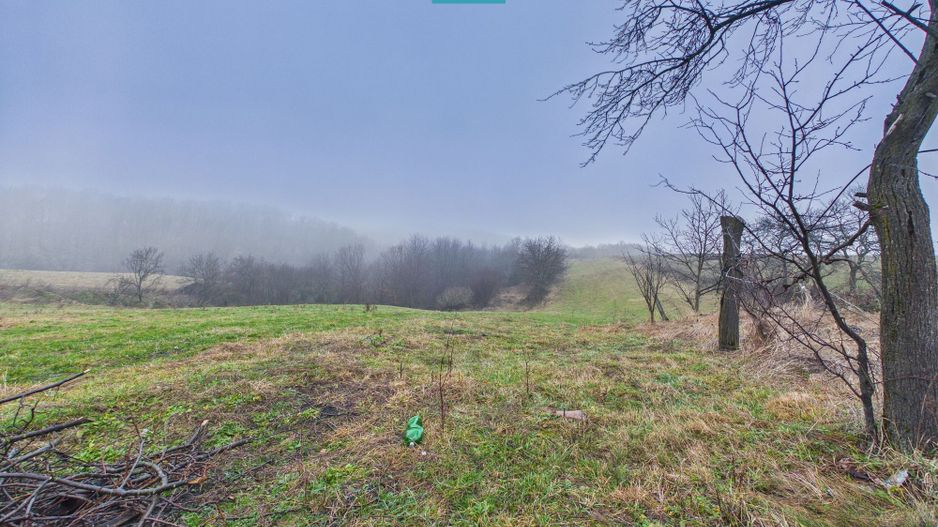 Casă și teren 5.000 mp în Poiana-Tășad, Bihor - Poză 9