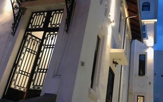 Vilacu curte individuala Kiseleff - Poză 2