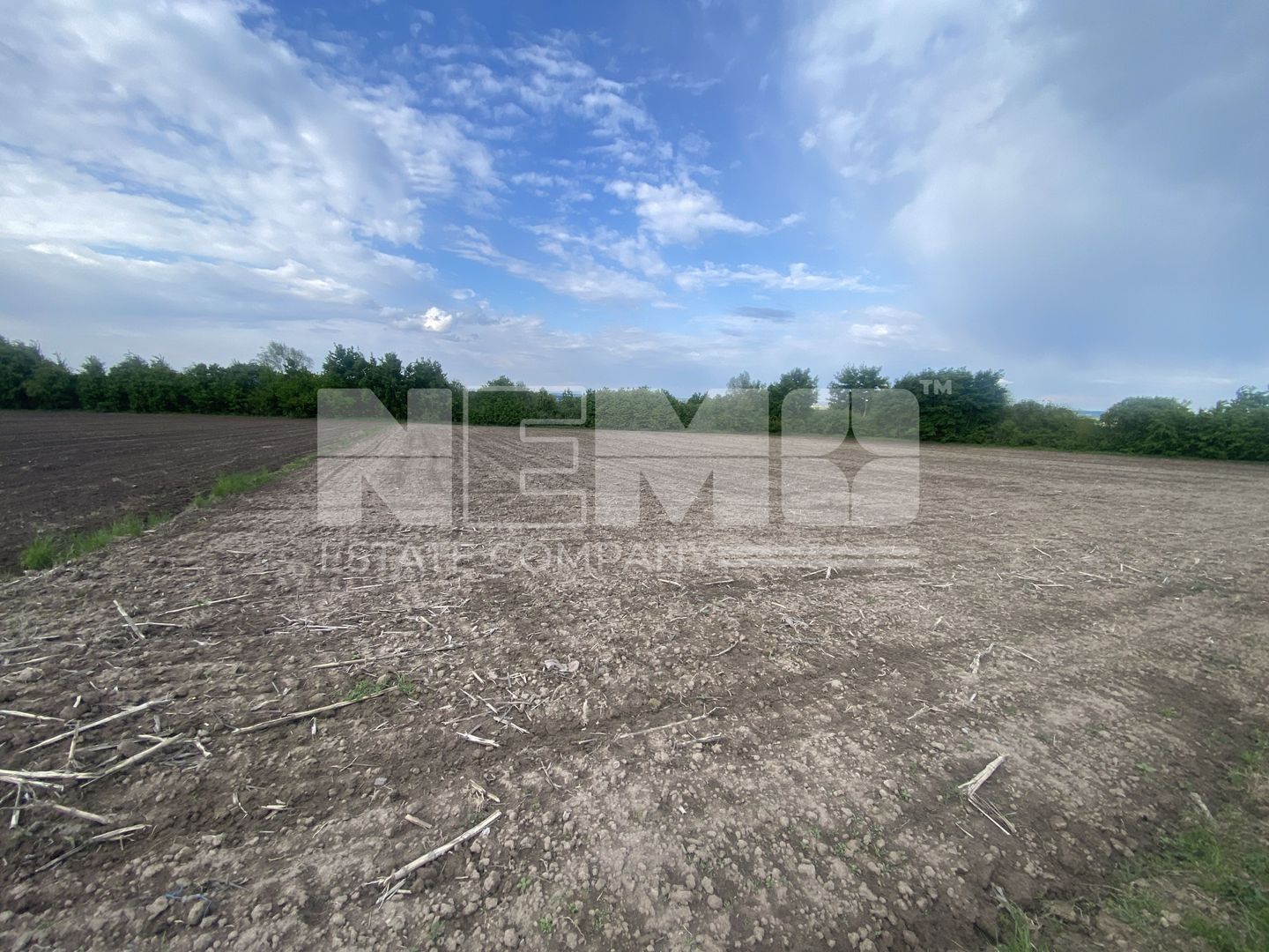 Teren Extravilan | 50 Ari | Horodnic De Jos - Poză 3