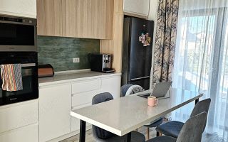 Casă pentru familie Miroslava, Valea Ursului (Armonia Park) - Poză 5