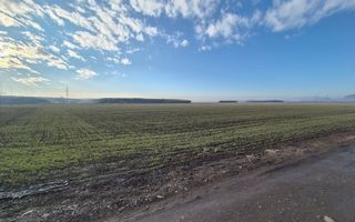 Teren industrial - 41476 mp - Poză 4