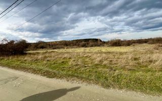 Teren extravilan 868 mp, Cârțișoara - Poză 1