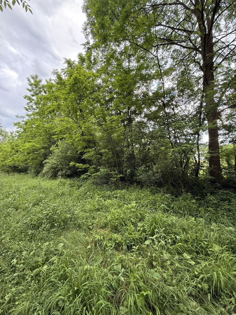 Teren plat-intravilan -3800 mp, cu pădurice și ieșire la râu! - Poză 30
