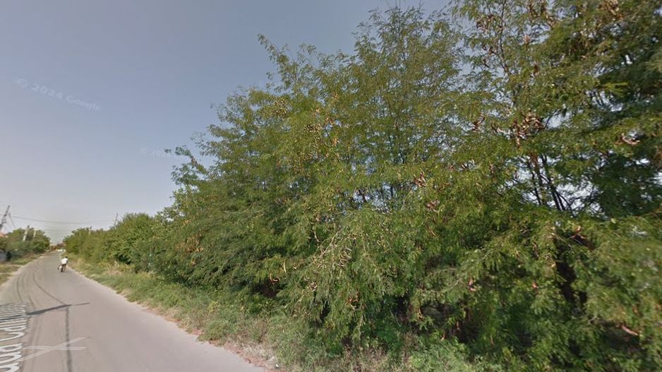 Teren intravilan Snagov pozitionat vizavi de centrul hipic Arcadia! - Poză 10