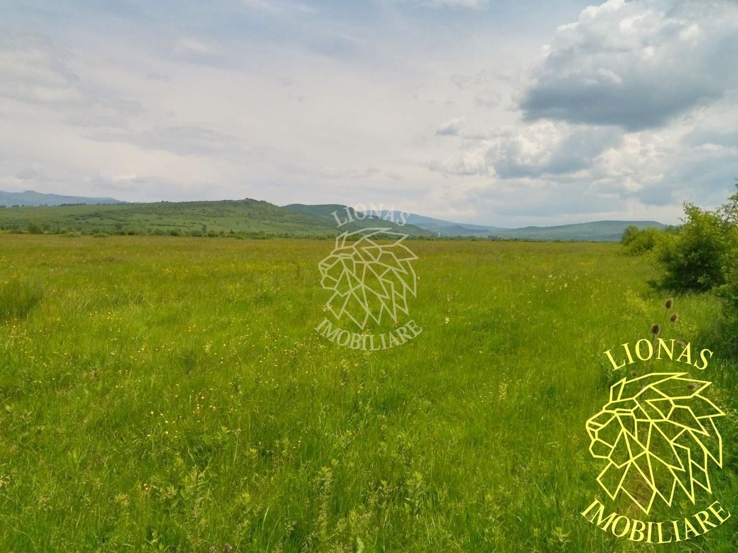 Teren 13100 mp-parcelabil-ideal cabana/agricultura-Orheiul Bistritei - Poză 1