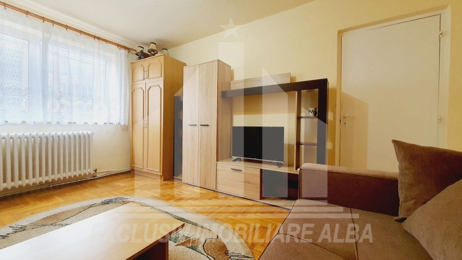 Apartament cu 1 camera de inchiriat, etajul 2, Cetate - Poză 3
