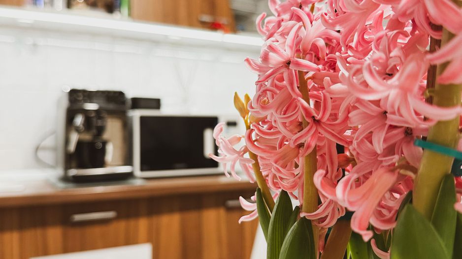 VANDUT - 2 camere - Telegrafului - Poză 11