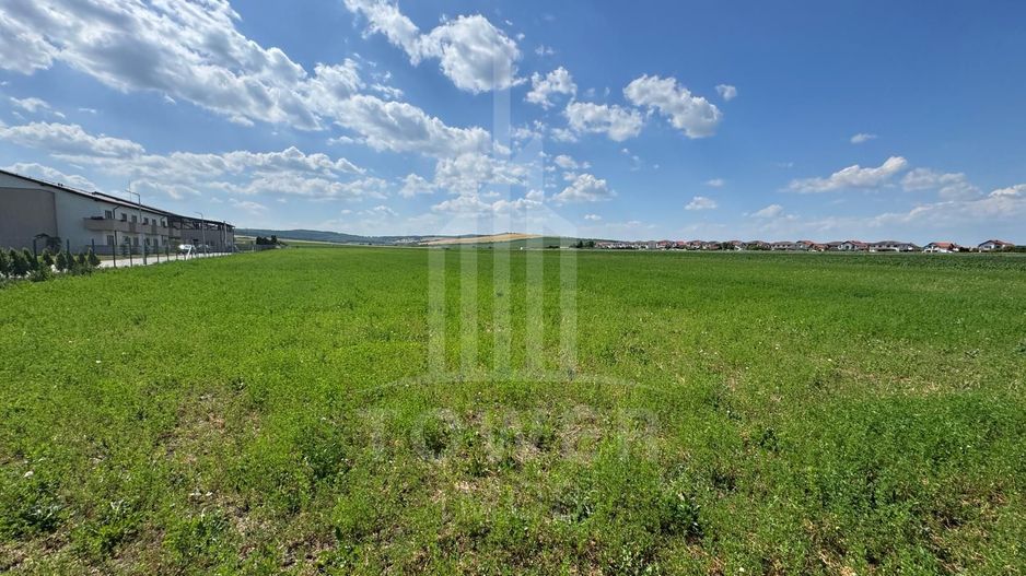 🌿 Teren 10.000 mp, Șura Mică – Ocna Sibiului | Investiție, COMISION 0% - Poză 5