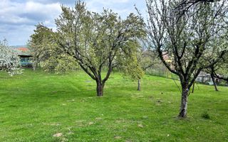 Teren | Intravilan | 855 MP - Poză 1