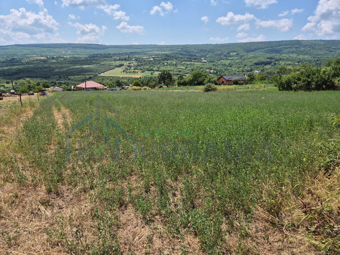 Teren intravanal de vanzare in Tomesti-Goruni, Iasi - Suprafete intre 700 si 800 mp - Poză 4