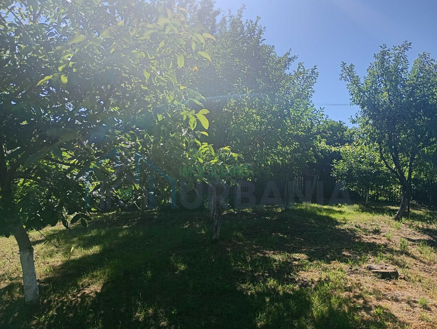 Teren intravilan în centrul localității Cârniceni - Poză 3