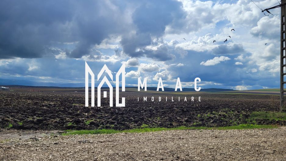 Teren 17300 MP | Deschidere la 2 Strazi | Ocna Sibiului - Poză 1