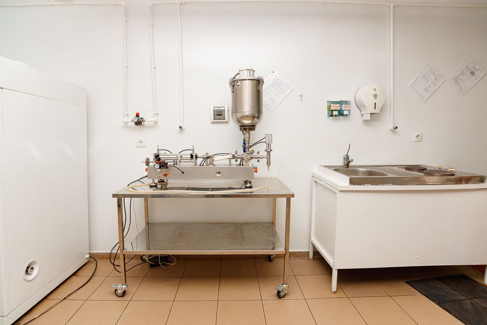 Proprietate specială de vânzare ”Fabrică de producere a medicamentelor de uz veterinar” - Poză 11