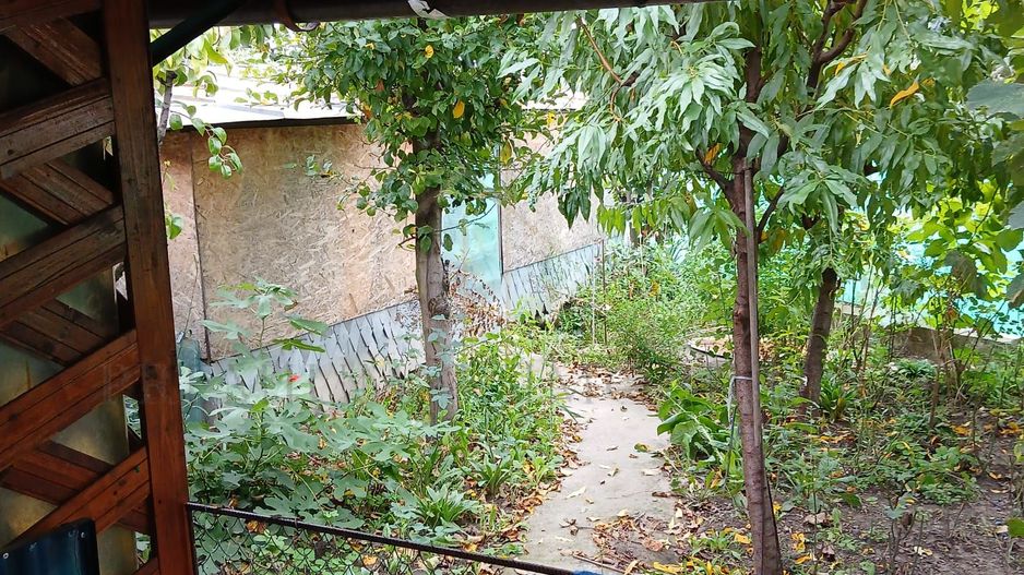 Casă 5 camere, 137 mp utili, 960 mp teren, 10 km de Onești - Poză 10