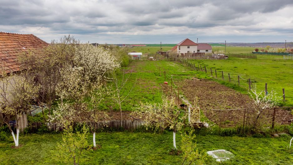 Teren de 1316mp în Frumușeni. - Poză 11