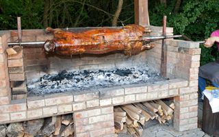 Pensiune, teren 4.460 mp, Hidișelul de Jos, Bihor. 685.000 Euro (neg). - Poză 37