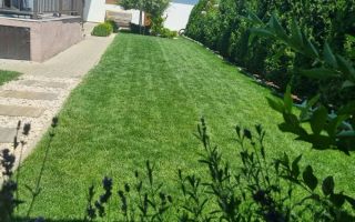 🏡 Casă modernă de vânzare | 3 camere | Sâncraiu de Mureș - Poză 10