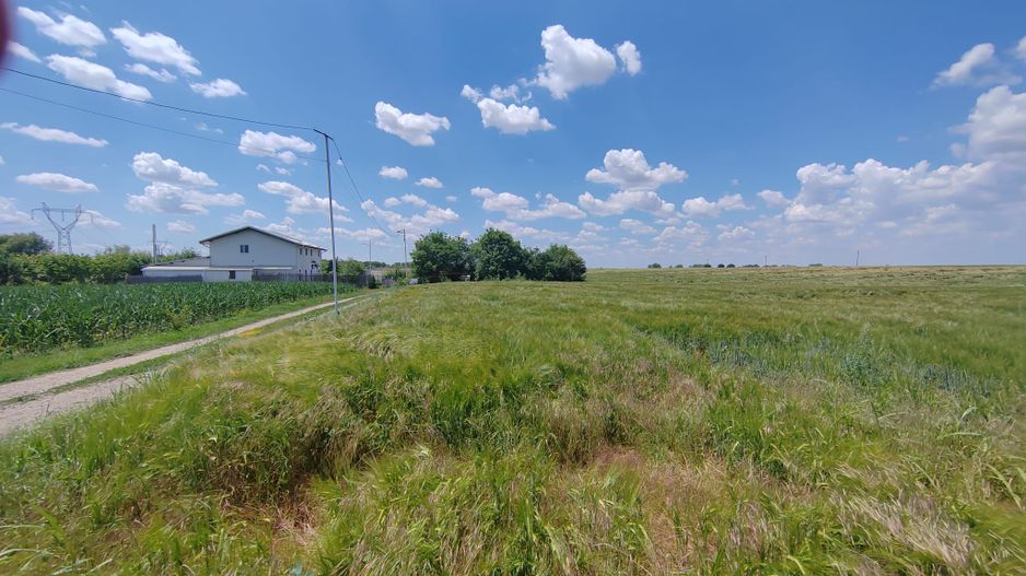 Frumusani Postavari 30 minute de Aparatorii Patriei super oferta 7 eur - Poză 6