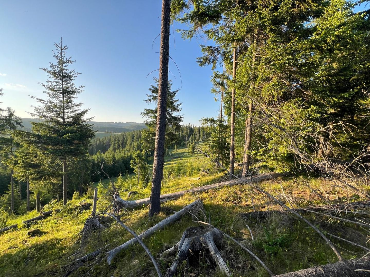 50 hectare teren | Moldova-Sulita | Potential turistic si agricol - Poză 3